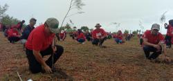 HUT ke 50 Kader PDIP Tanam Ribuan Bibit Mangrove dan Cemara di Tanjung Cemara Pangandaran