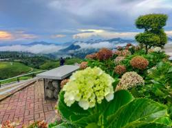 Unik! Malino Highlands Wisata Pegunungan dengan Nuansa Negeri Sakura