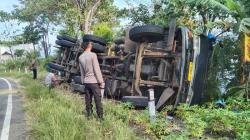 Truk Terguling di Tikungan Tubo Majene, Supir dan Penumpang Terlempar Keluar