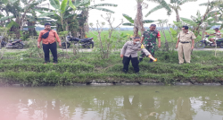 Geger Seorang Pria Ditemukan Tewas Tenggelam di Kolam Ikan, Team Inafis: Tak Ada Tanda Kekerasan