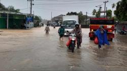 Camat Parittiga Minta Masyarakat Waspada Buaya Masuk ke Permukiman saat Banjir