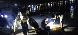 Warga Mamuju Bawa Tudung Saji Ramai-ramai Tangkap Ikan Penja di Pantai Arteri