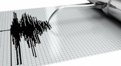 Jayapura Diguncang 786 Kali Gempa Susulan