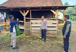 Nahas! Adang Pencuri Kambing, Pemuda Lampung Utara Tewas Ditembak 