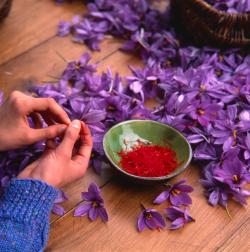 Simak 4 Manfaat Saffron Bagi Kecantikan Kulit