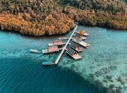 Pulau Pahawang, Keindahan Bawah Laut yang Memukau