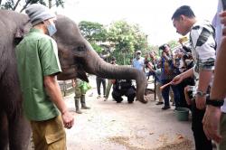 Hari Ini Solo Safari Diresmikan, Masyarakat Bisa Wisata Fauna dan Edukasi Satwa