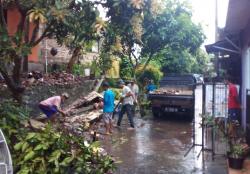 Kota Cilegon Diguyur Hujan Deras, Sejumlah Ruas Jalan Teredam Air dan Beberapa Pohon Tumbang