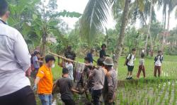 Geger, Seorang Pemuda di Tasikmalaya Ditemukan Tewas di Sawah