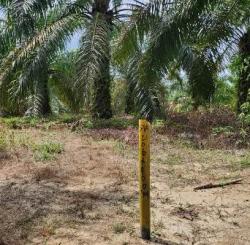 Penerima Ganti Rugi Belum Jelas, Pembangunan Jalan Tol dan Ring Road Terkendala