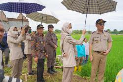 Wawalkot Cilegon: Patok Batas Bisa Minimalisir Perselisihan Tanah