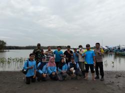 Selamatkan Pesisir Pidodo Kulon, Tim KKN UIN Walisongo Tanam 1.000 Mangrove