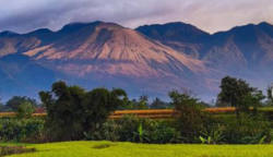 Kisah Misteri Gunung Guntur, Mulai Batu Menangis hingga Banyak Pendaki Hilang saat Mendaki