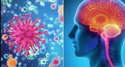 Awas Wabah Meningitis 35 Orang di Meksiko Meninggal