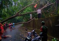 Anggota Koramil Manisrenggo dan Relawan Mengevakuasi Pohon Tumbang