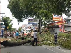 Angin Kencang di Depok Tumbangkan Pohon dan Tiang Listrik, Jalan Macet