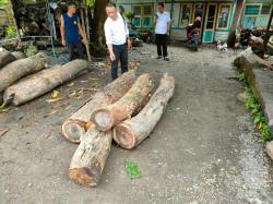 Seorang Petani di Ngawi Dikenai Pasal Undang Undang Cipta Kerja karena Mencuri Kayu