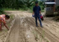 Jalan Berlumpur, Emak-Emak di Tommo Mamuju Tanam Padi di Jalan 