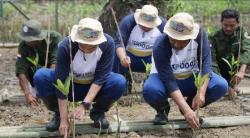 Wujudkan Bumi Lebih Hijau, PT Asahimas Chemical Galakkan Aksi Penanaman Mangrove Bersama Warga