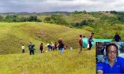 Lebih dari 36 Juta Belalang Kembara jadi Bangkai Pasca Diperangi Serentak di Sumba Timur