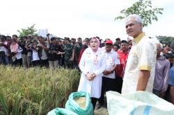 Ganjar Ajak Petani Milenial Jaga Stabilitas Harga dan Stok Beras di Jateng