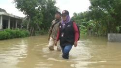 Pantang Menyerah, Petugas Pantarlih Tetap Terobos Genangan Air Demi Mendata Hak Pilih Warga