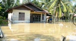 Ratusan Rumah dan Sawah di Bireuen Terendam Banjir