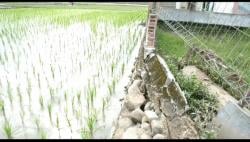 Infrastruktur Hancur dan Rumah Nyaris Amblas Kesungai Pasca di Terjang Banjir di Bireuen