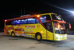 Bus Sapu Jagat Jakarta-Surabaya, Solusi Pergi Mendadak di Malam Hari