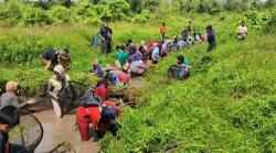 Serunya Nanggok, Tradisi Warga Bangka Berburu Ikan dan Udang di Sungai 