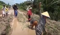 Tak Kunjung Diperbaiki, Emak-Emak di Lampung Tanam Bibit Padi di Tengah Jalan Rusak