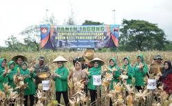 Kodim Pemalang Panen Jagung di Lahan Demplot, Dandim: Kita Wujudkan Ketahanan Pangan