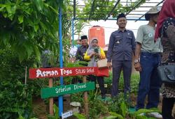 Lurah Ciwaduk Cilegon, Himbau Masyarakat Agar Tanam Asmantoga di Pekarangan Rumah