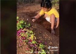 Viral ! Kisah Haru Seorang Gadis Kecil Curhat di Samping Makam Ayahnya: Kenapa Tidur di Sini?