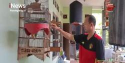 Warga Cilegon Berhasil Raup Cuan dari Hasil Ternak Burung Murai Batu Beromset Jutaan Rupiah