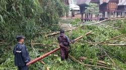 Pohon Besar Tumbang Timpa Tiang Listrik dan Tutup Badan Jalan di Toraja Utara