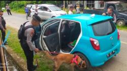 Incar Bahan Peledak, Teroris dan Narkotika Polres Palopo Kerahkan Anjing Pelacak ke Tapal Batas