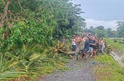 Akibat Angin Kencang 1 Rumah Tertimpa Pohon di Baradatu, Babinsa hingga Warga Bantu Evakuasi