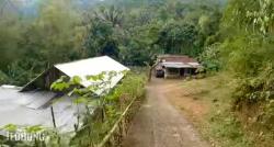 Desa Unik di Banyumas, Indah tapi Tersembunyi di Bawah Lembah, seperti Ini Suasananya!
