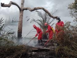 BPBD Riau Tekan Karhutla