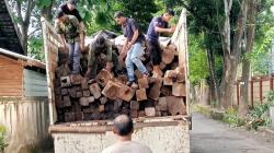 18,4 Kubik Kayu Sonokeling Tanpa Izin Dokumen Lengkap Diamankan Tim DLHK Provinsi NTB