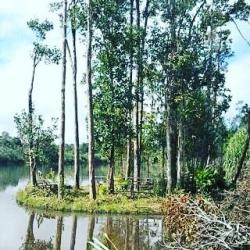 Mengenal Pulau Begansar di Kalbar yang Bisa Bergerak Sendiri Setiap Pagi, Berikut 4 Fakta Uniknya