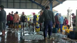 Pasokan Ikan di TPI Asemdoyong Pemalang Kembali Normal, Pedagang Sudah Bisa Kulakan