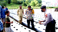 Polisi di Belu NTT Rela Sisihkan Gajinya Demi Buka Lahan Pertanian Untuk Bantu Petani Yang Tak Mampu