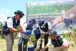 Relawan Bakti BUMN Hadir di Banyuwangi, PTPN XII Tanam Ribuan Pohon