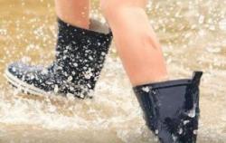 Penyakit Leptospirosis di Jawa Timur Tembus 249 Kasus dan 9 Orang Meninggal