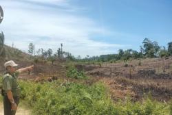 Tinjau Wilayah Konservasi, KPH Pasangkayu Temukan Pembakaran Hutan