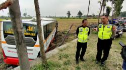 Hindari Tabrakan, Bus Sarat Penumpang Terjun Ke Persawahan