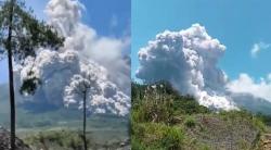 Gunung Merapi Erupsi, Awan Panas Putih Membumbung ke Langit