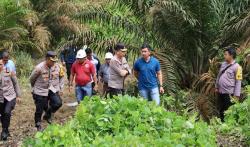 Kapolda Babel Tinjau TKP Pembunuhan Hafizah, Bocah 8 Tahun yang Jasadnya Dibuang di Kebun Sawit